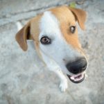 If you want customer loyalty use social media